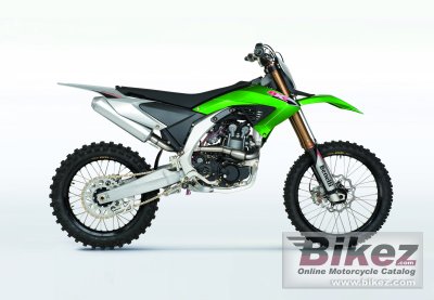2010 Benelli BX 449 Cross photo